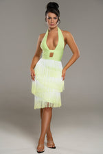 Lopez Ombre Tassel Fringe Dress - Potere ClothingDress