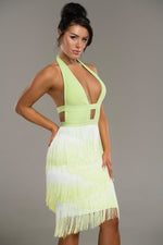 Lopez Ombre Tassel Fringe Dress - Potere ClothingDress