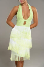 Lopez Ombre Tassel Fringe Dress - Potere ClothingDress